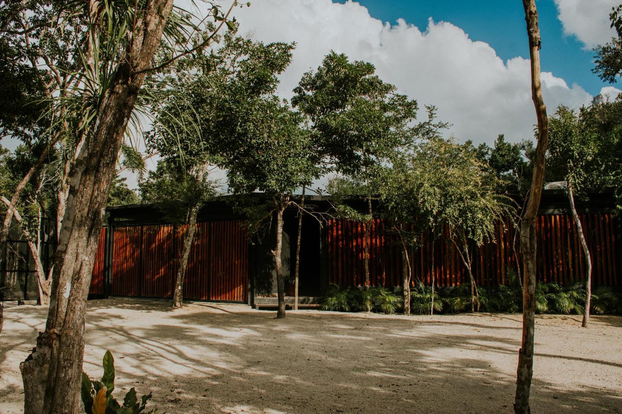 K Naj Community Cenote Residence Balcheil Exteriér fotografie